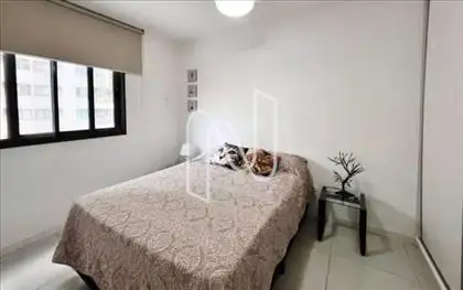 Quarto (2)