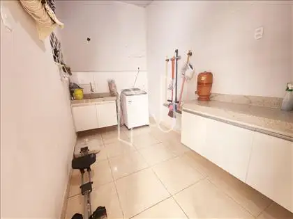 Ara de serviço