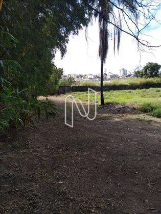 Rua e lote planos