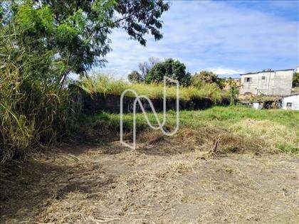 Lote plano