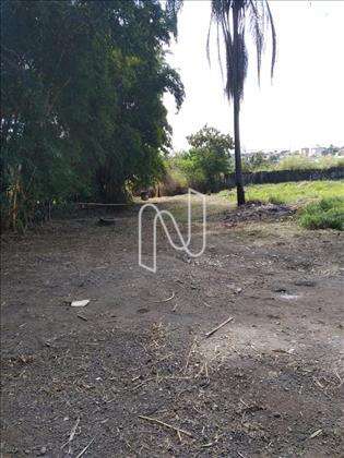 Lote plano