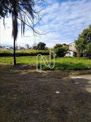 Lote plano