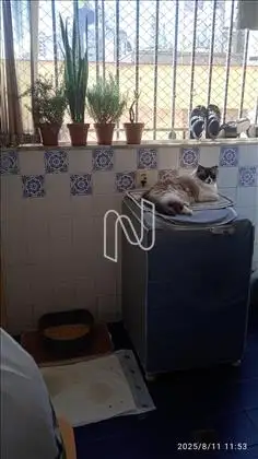 Outro ângulo da área de serviço.