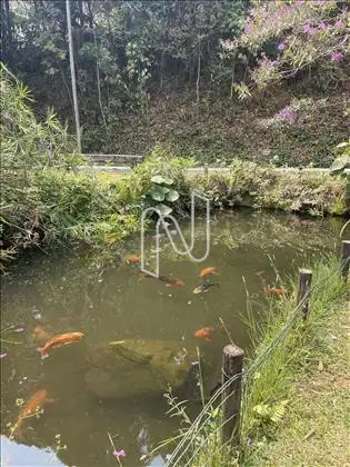  Jardins