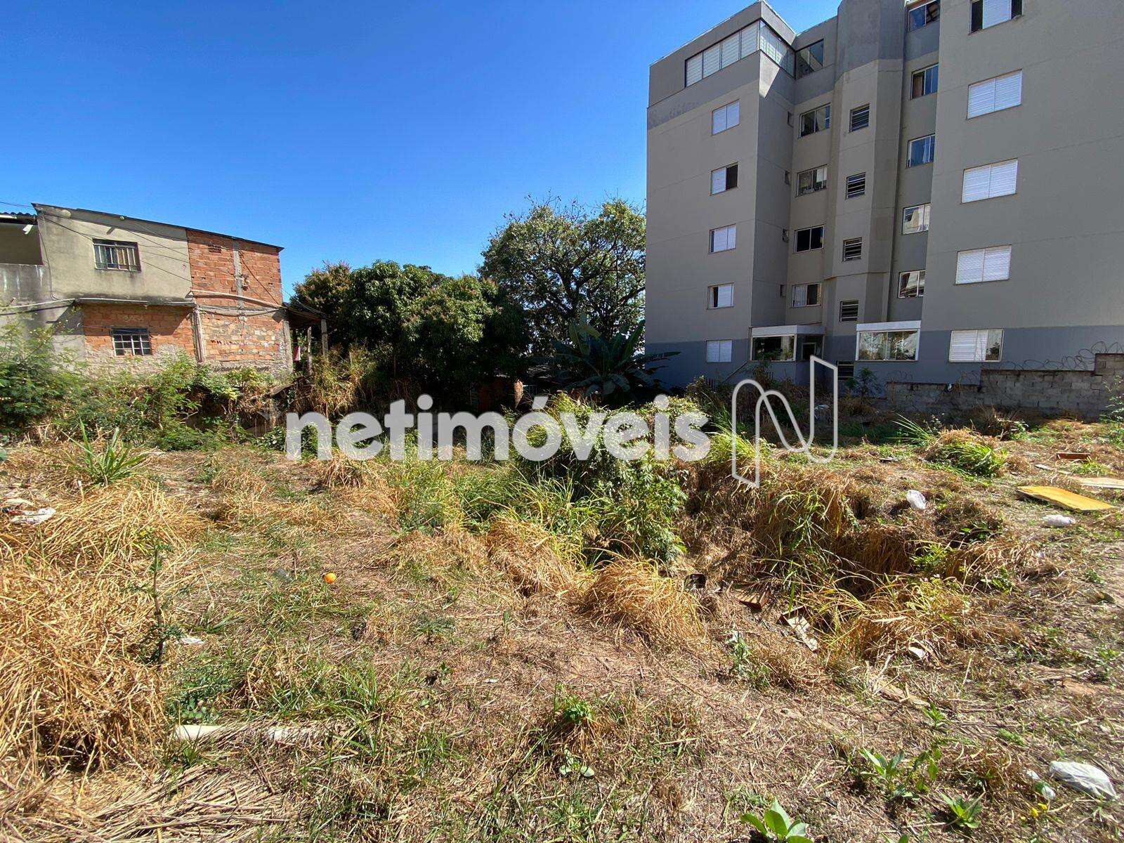 Lote