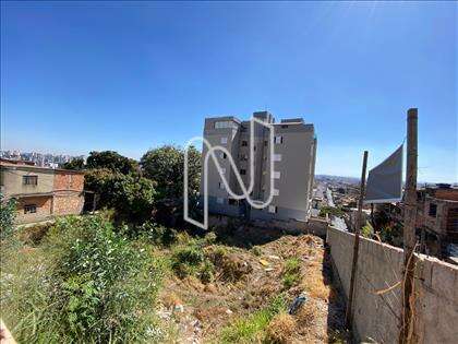 Lote 