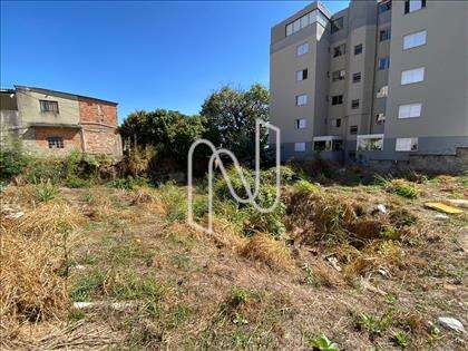 Lote 