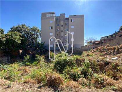Lote 