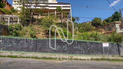 Lote
