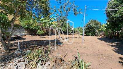 Lote