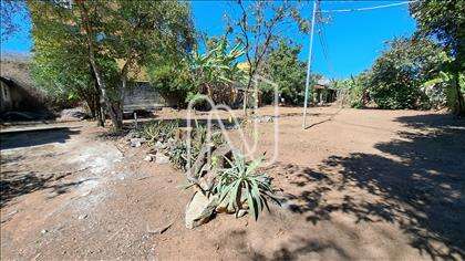 Lote
