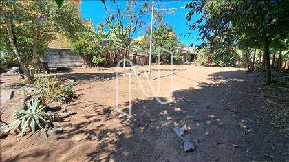Lote