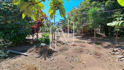 Lote