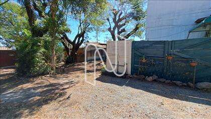 Lote