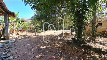 Lote