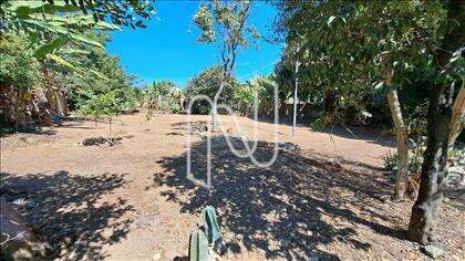 Lote