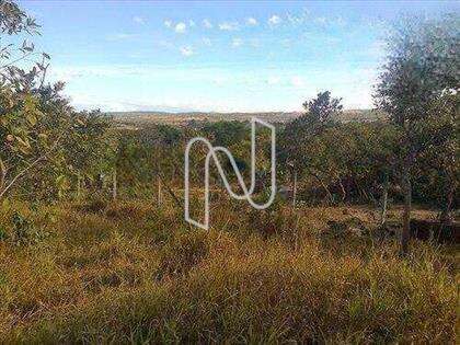 Lote