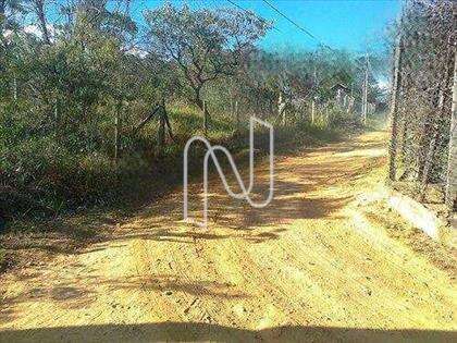 Lote
