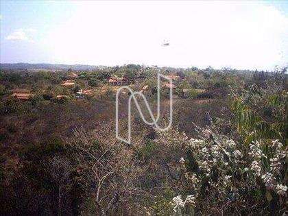 Lote