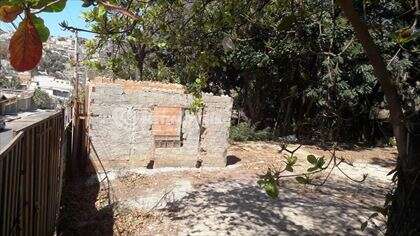 Lote 