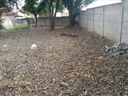 Lote