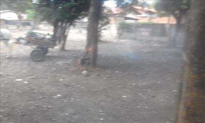 Lote
