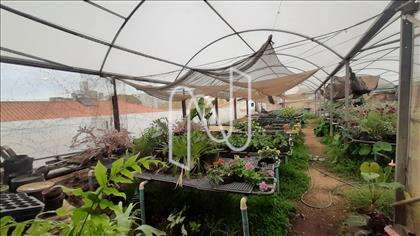 Lote 