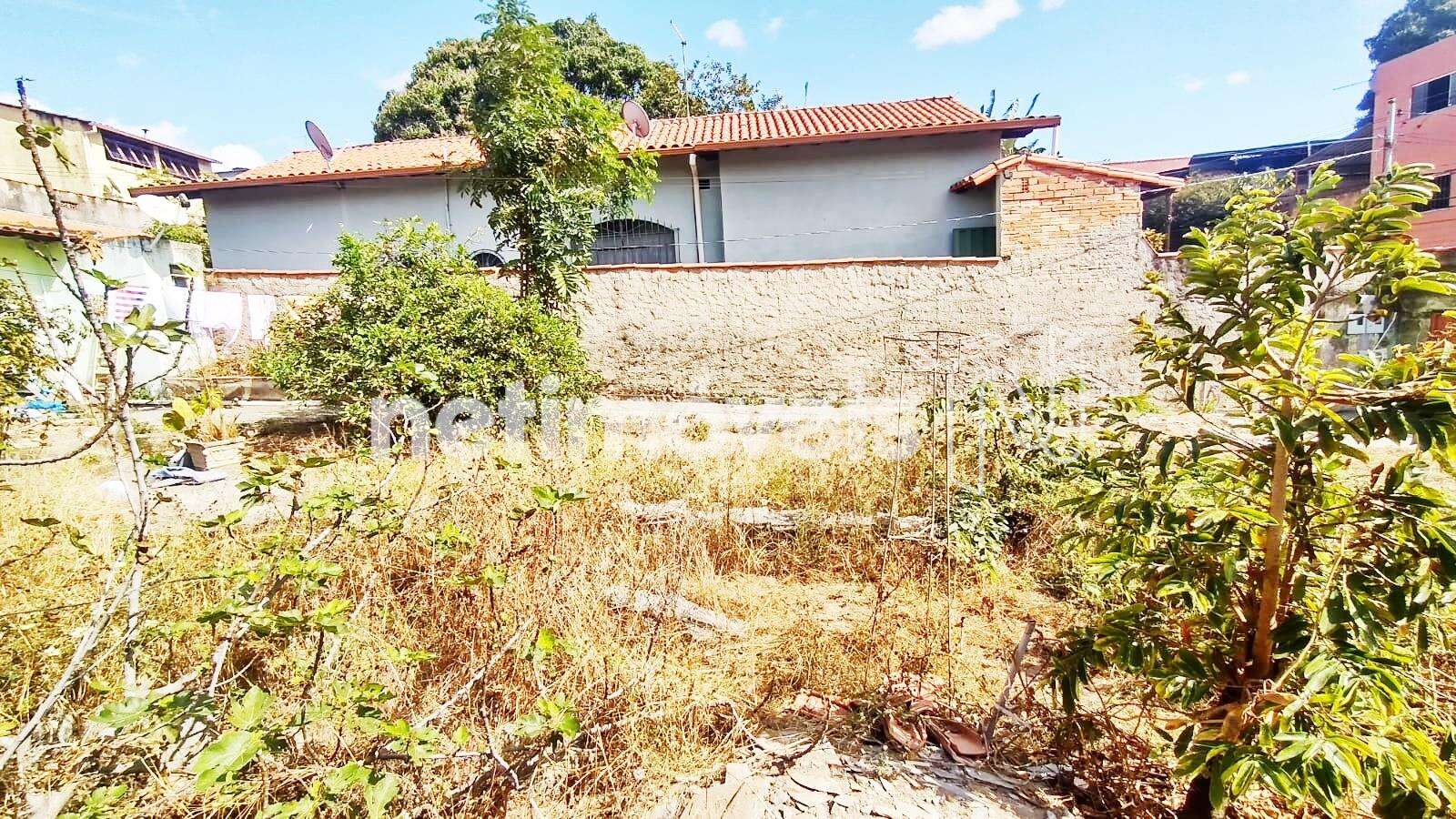 Lote