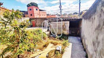 Lote