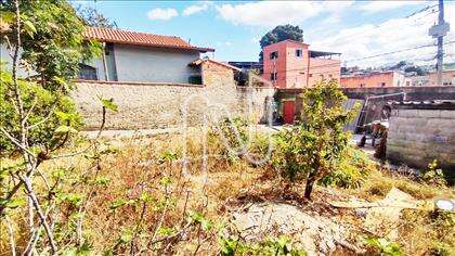 Lote
