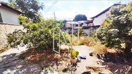 Lote