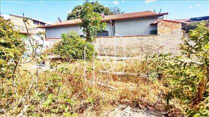 Lote