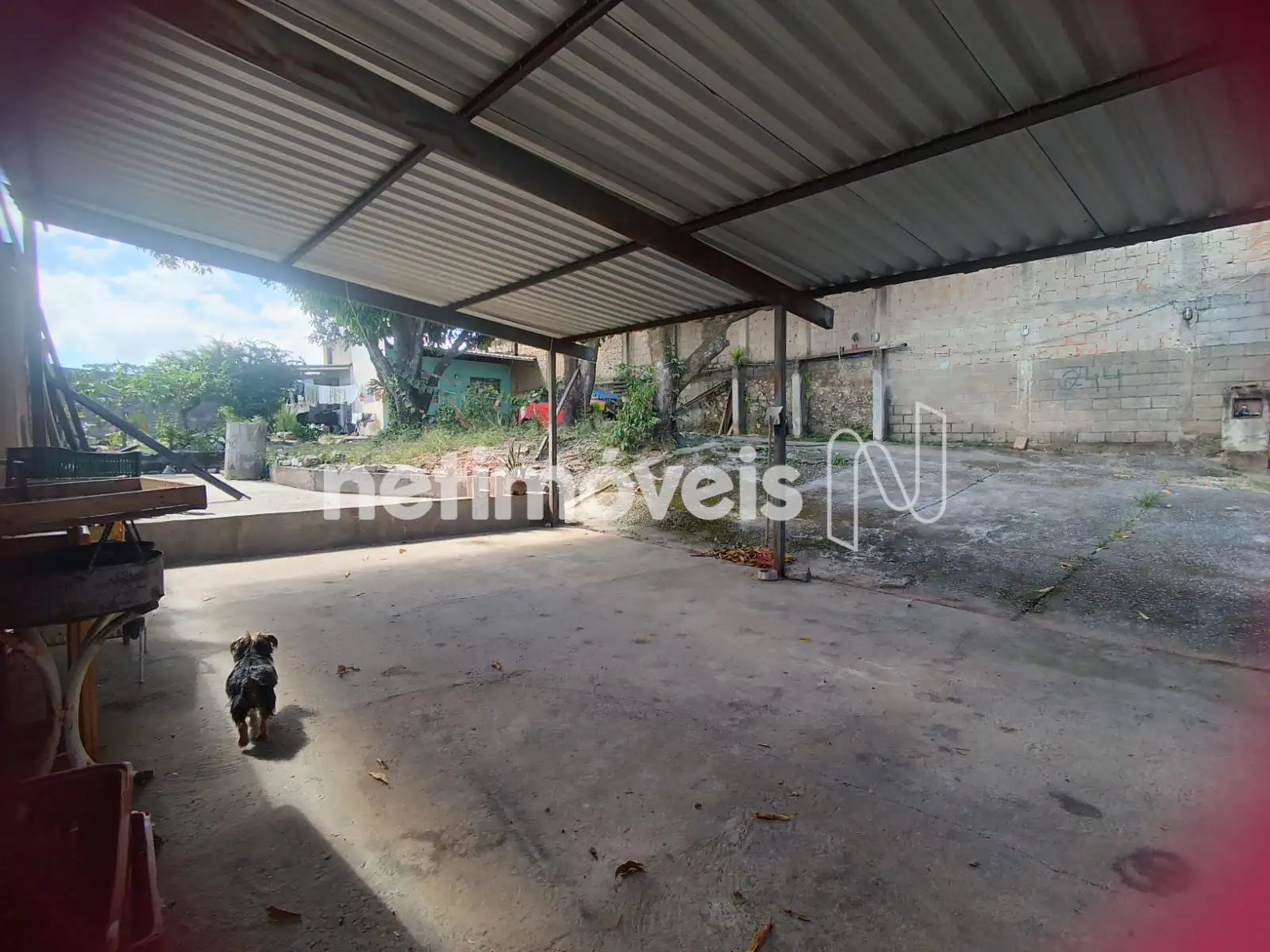 Lote