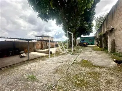 Lote
