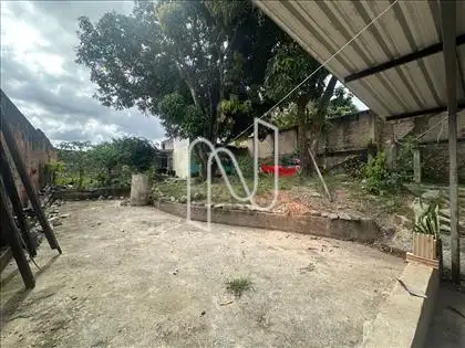 Lote