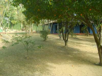 Foto 8