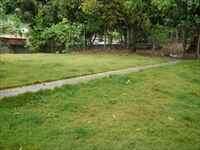 AREA EXTERNA