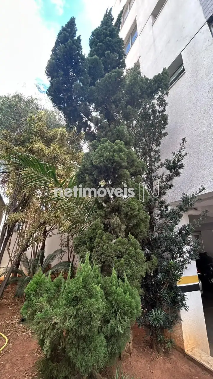 Jardim