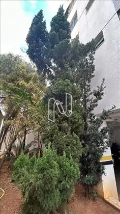 Jardim