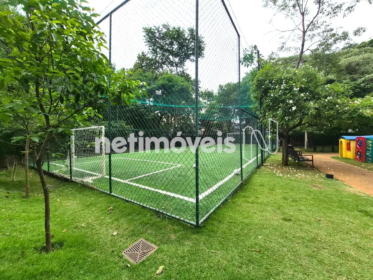 Campo gramado