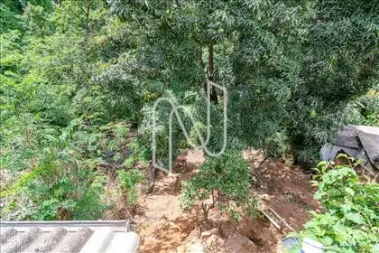 Jardim