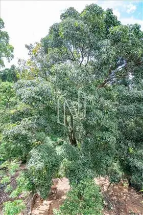 Área externa