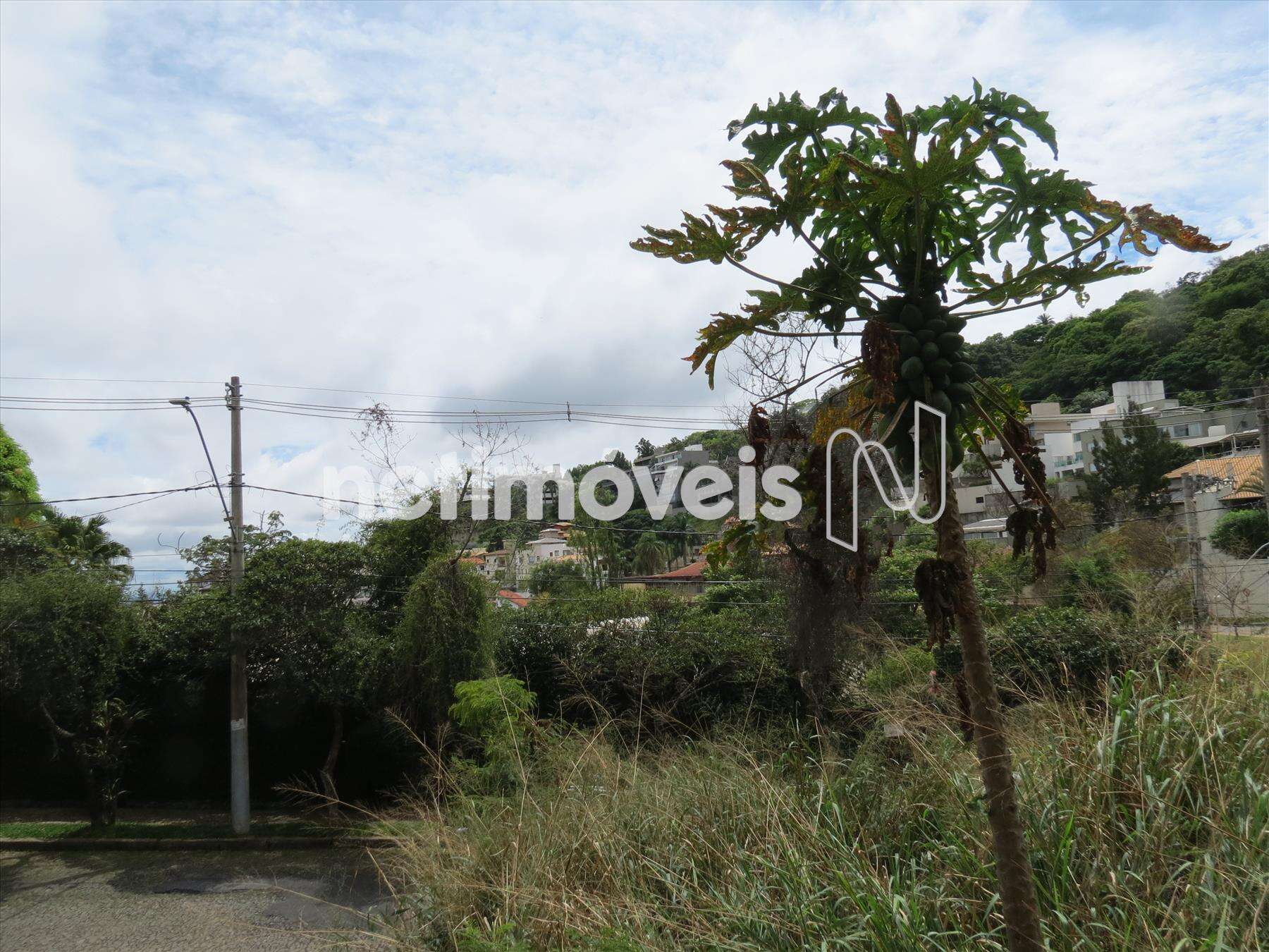 vista de dentro do lote