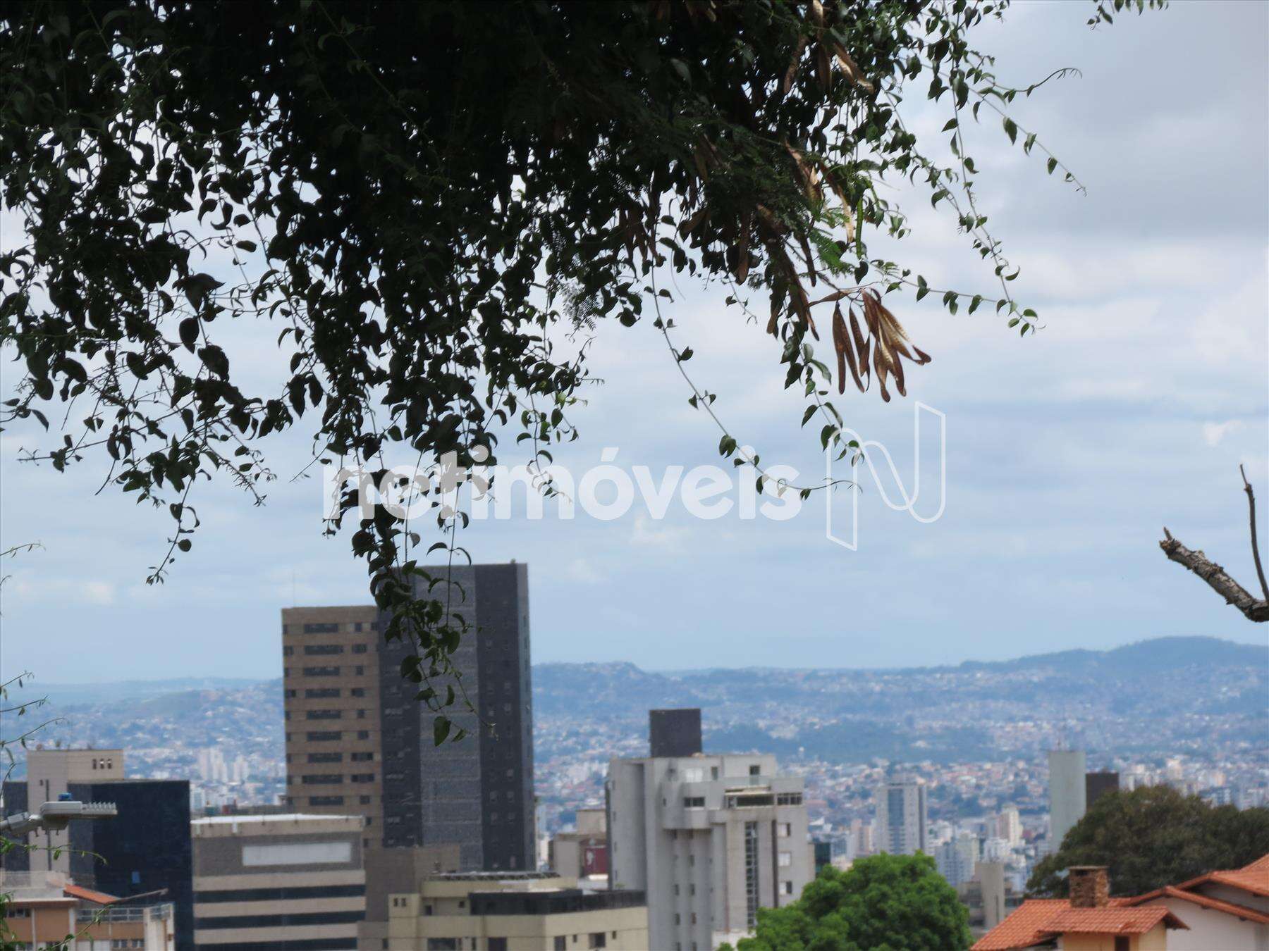 vista de dentro do lote ao lado do mamoeiro.