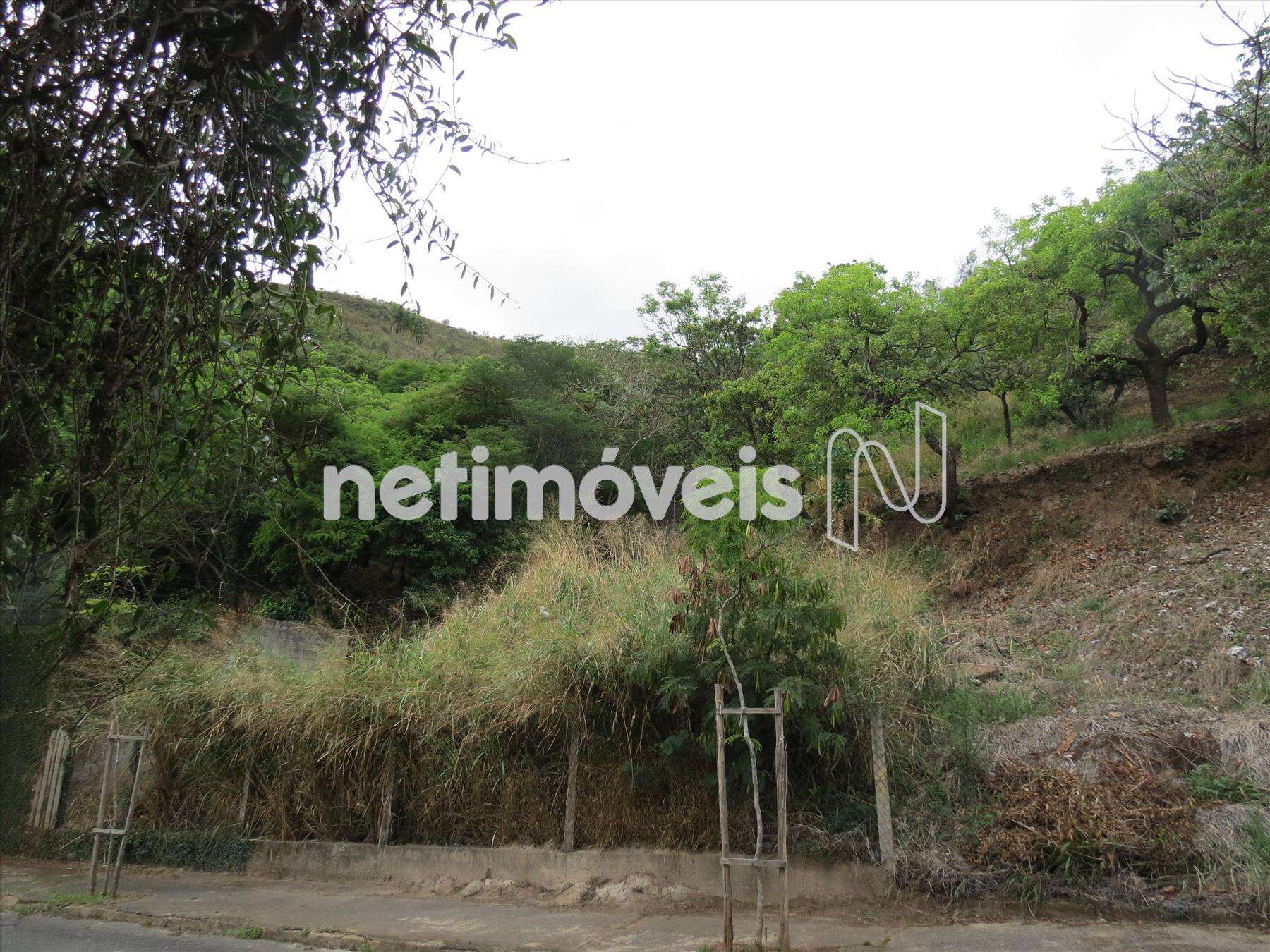 ao pé da Serra do Curral.