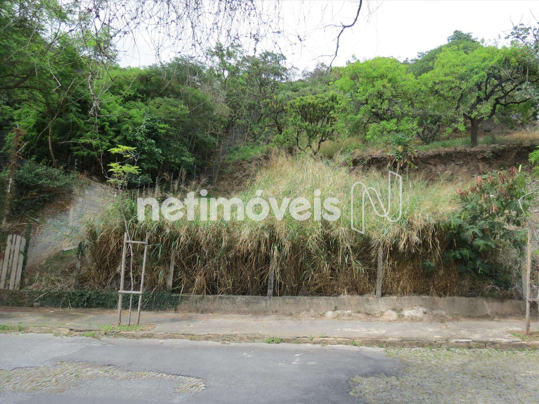 lote com o muro do Vizinho a esquerda