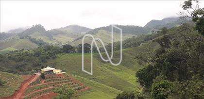 Fazenda Izabel 
