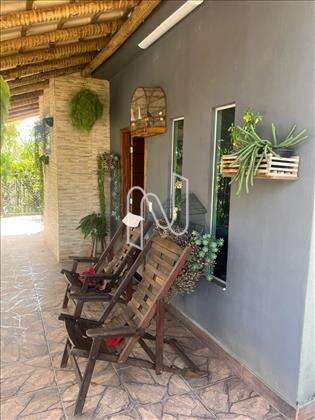 Plantas ornamentais