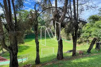 Campo 