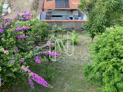 Quital com frutas, flores e horta 